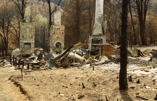 Aftermath from the 1983 Sydney bushfires.