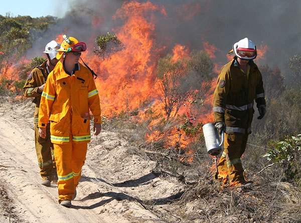 Firefighters wearing protective clothing while undertaking a prescribed burn.