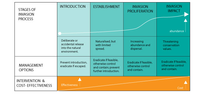 Invasion processes and management options (Source: Invasive Species Council)