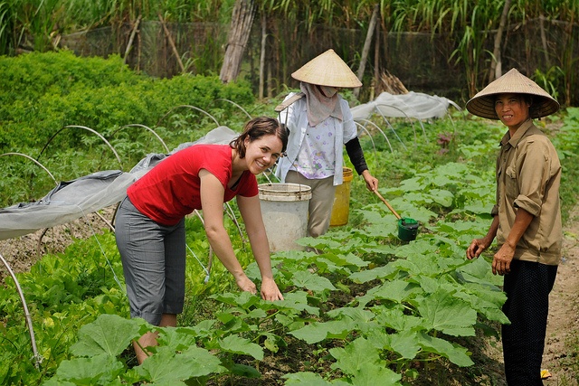 A volunteer working with the Thanh Xuan Organic project in Vietnam.
