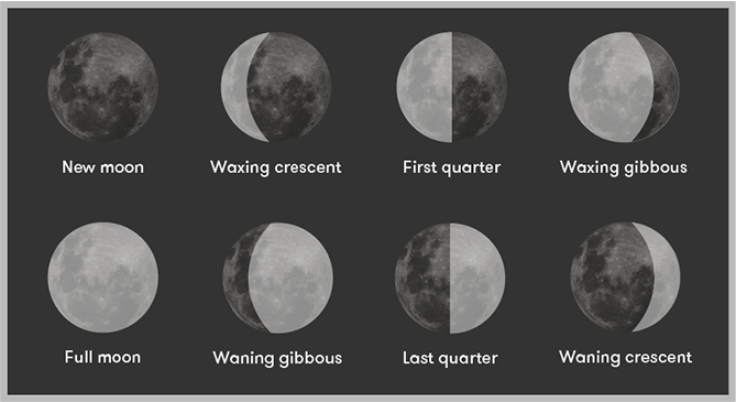 The phases of the moon: new moon, waxing crescent, first quarter, waxing gibbous, full moon, waxing gibbous, last quarter, and waning crescent.