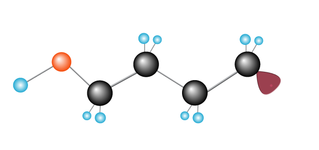 Second ethylene molecule is introduced