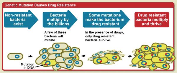 Diagram showing how genetic mutation causes drug resistance