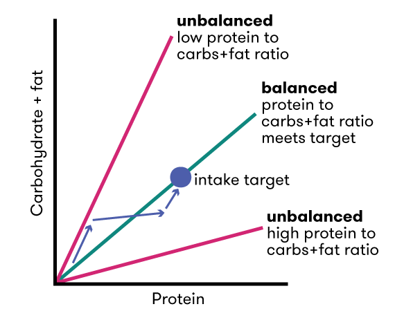 A diagram of a human dietary nutrient space, showing protein content on the x-axis and carbs+fat on the y-axis, with our nutrient intake target being a specific amount of each.