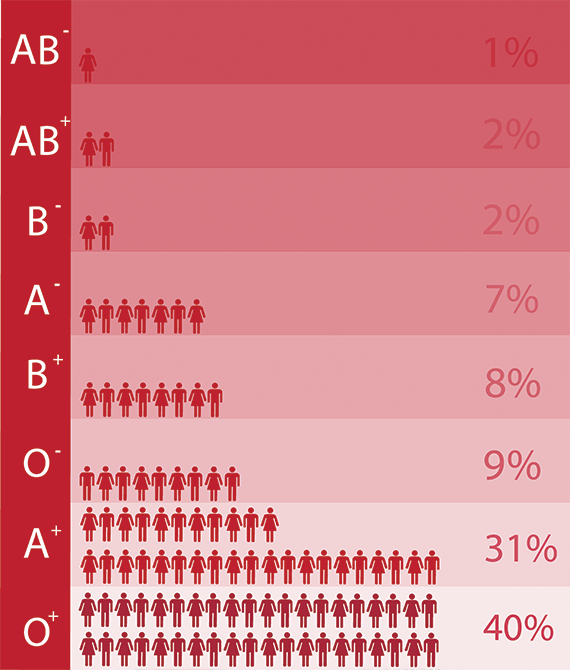 A diagram showing the percentage of people in Australia with each blood type. O positive: 40 per cent; O negative: 9 per cent; A positive: 31 per cent; A negative: 7 per cent; B positive: 8 per cent; B negative: 2 per cent; AB positive: 2 per cent; AB negative: 1 per cent.