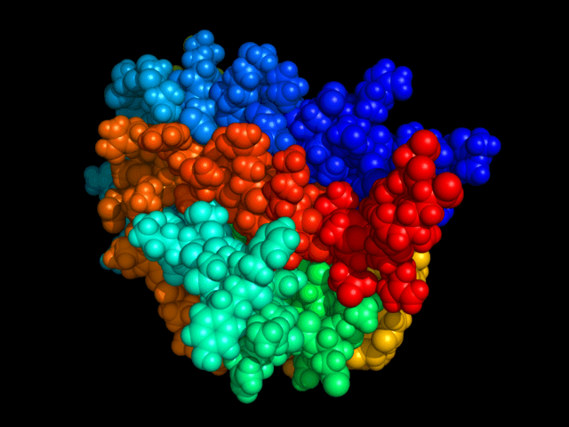A molecular model of Erythropoietin (EPO)