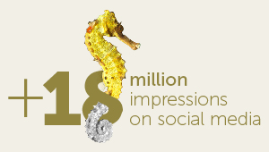 18 million impressions on social media