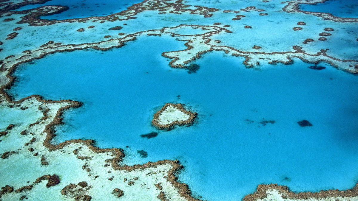 An aerial view of a heart-shaped coral reef in azure water.