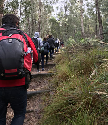 Hikers with day backpacks and warm clothes walking a track in an Australian forest.