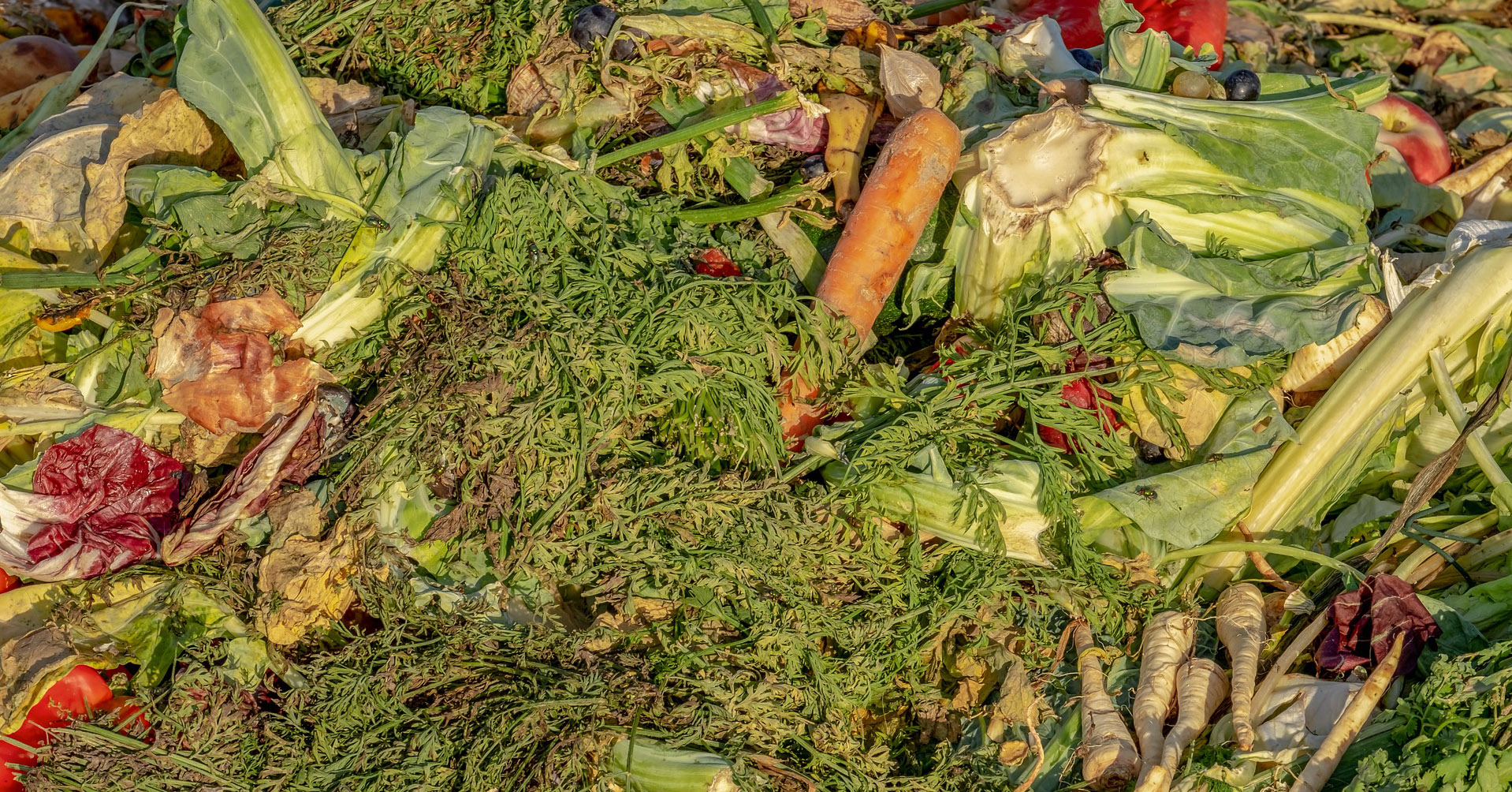  Composting food scraps prevents food waste going to landfill.