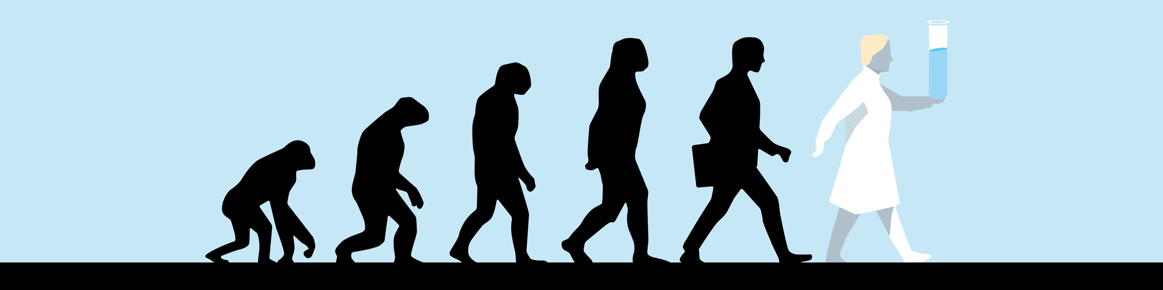 Image result for evolution