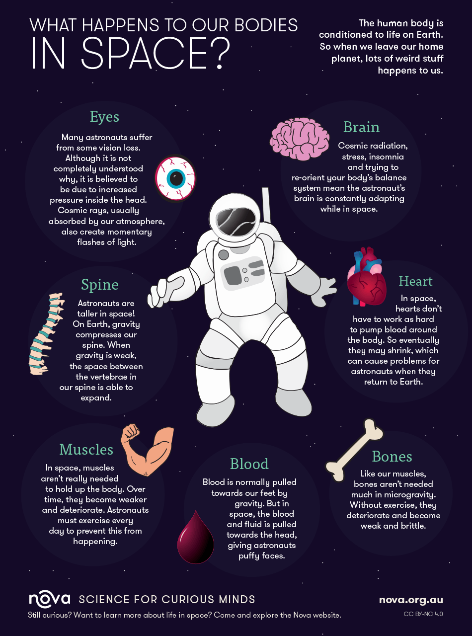 Infographic What Happens To Our Bodies In Space