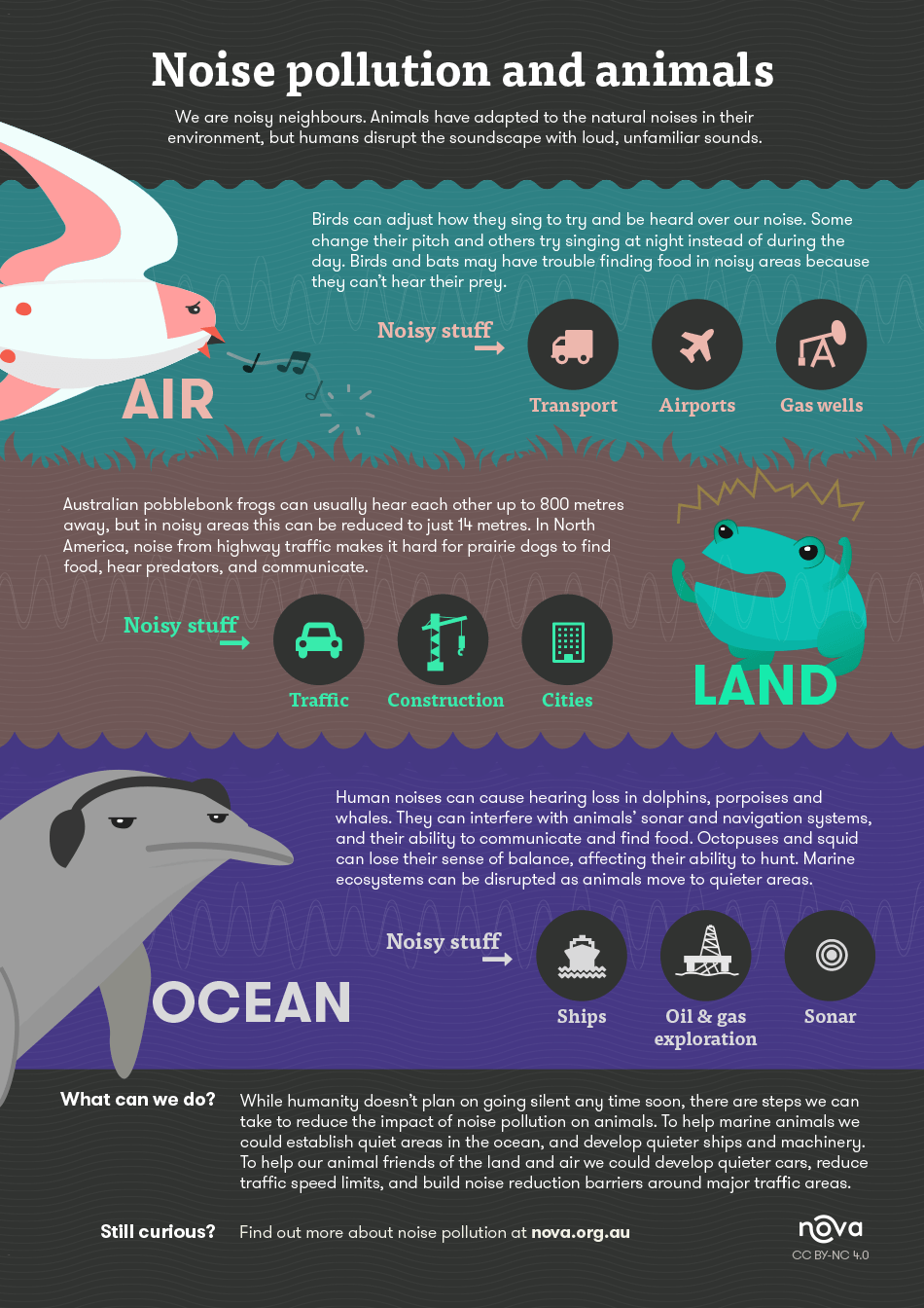 Infographic: Noise pollution and animals