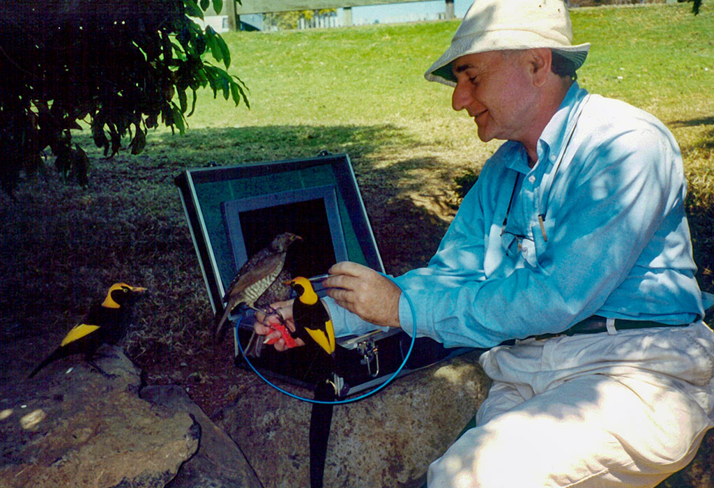 A person (John Endler), seated outside, with two birds perched on his arm. He is using a probe connected to a laptop-like data logger to scan the birds' feathers.