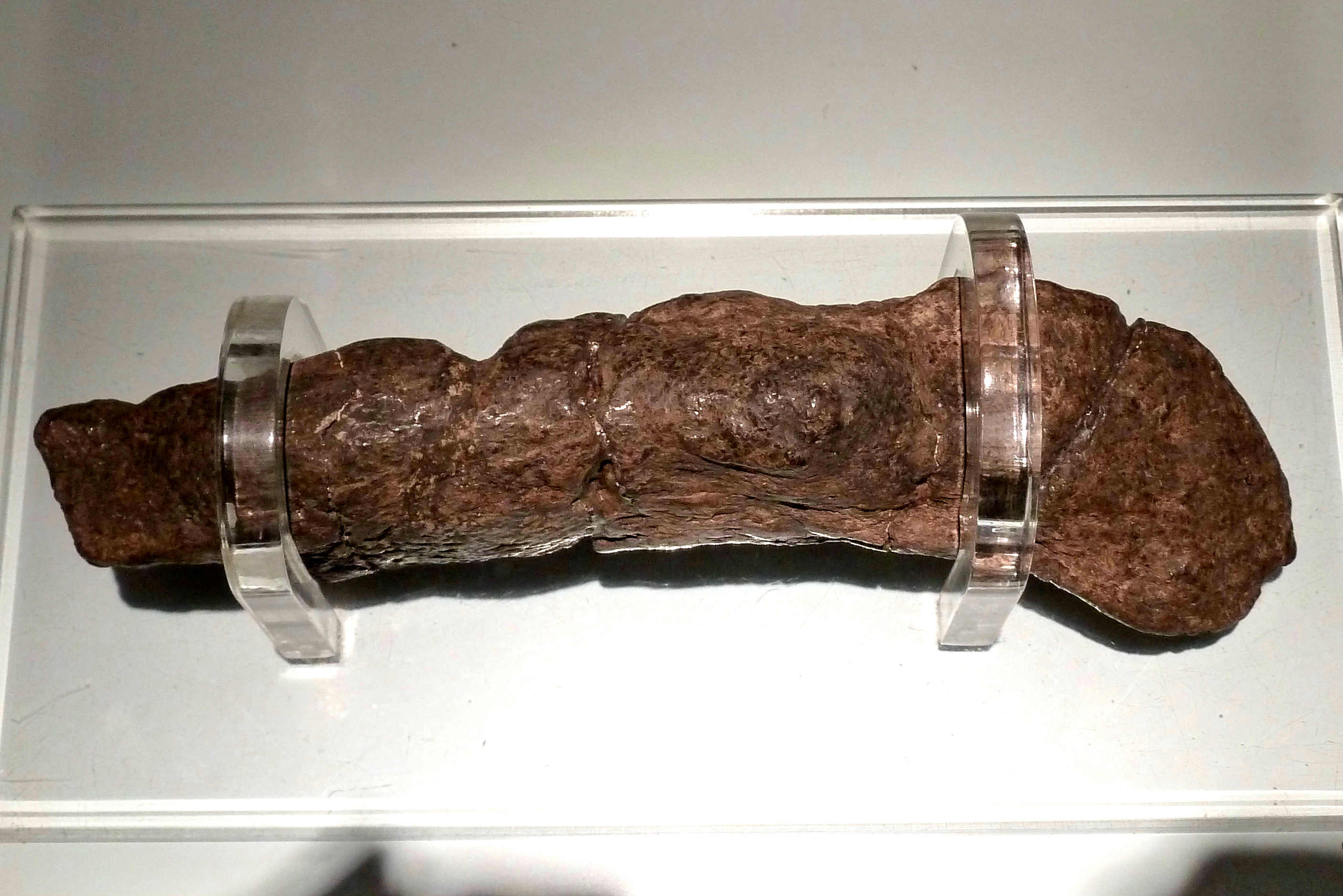 A fossilised human turd