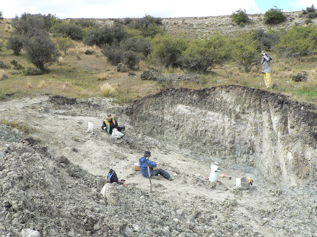 Palaeontologists excavate fossils at St Bathans in Central Otago, New Zealand