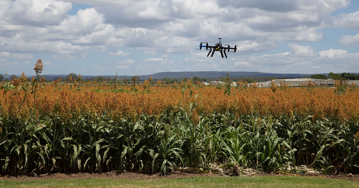  A drone collecting agricultural data.