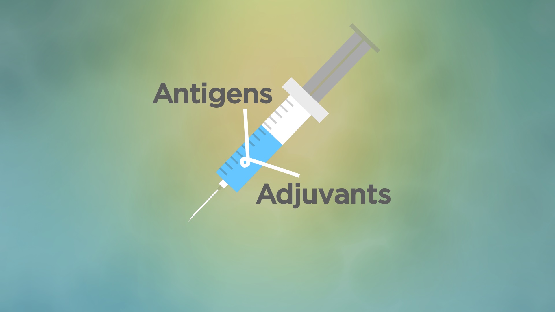 Illustration of a syringe with text labels ‘antigens’ and ‘adjuvants’