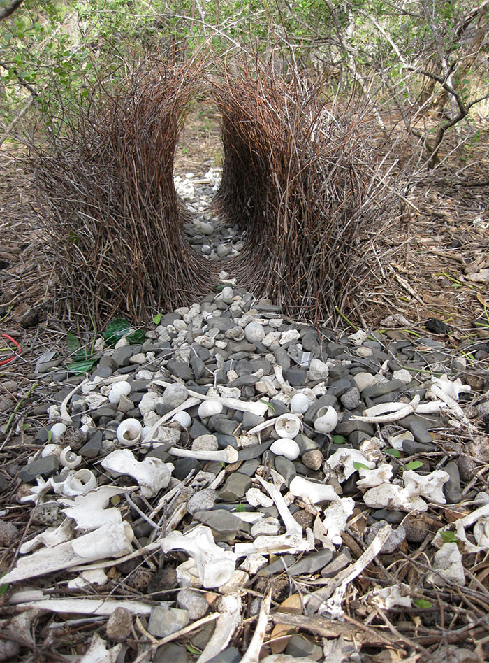 A tunnel-like arrangement of sticks on the ground, with grey and white pebbles of varying size placed at each end.