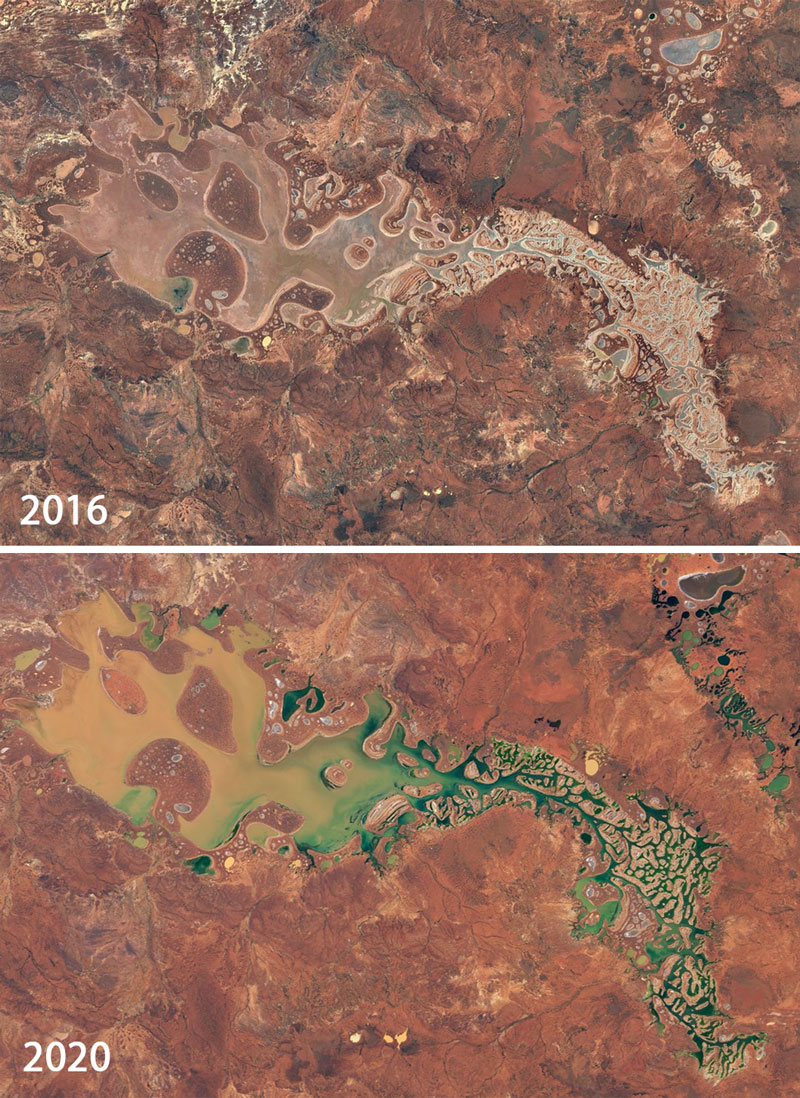 Satellite view of brown dry lake in 2016 and same lake with green and muddy water in 2020