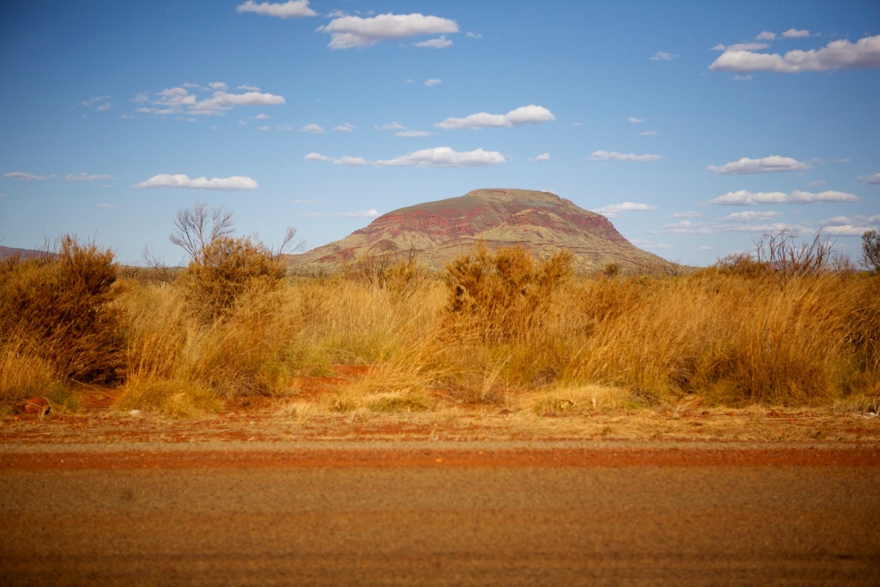 Dry scrubby bushland with a hill in the background