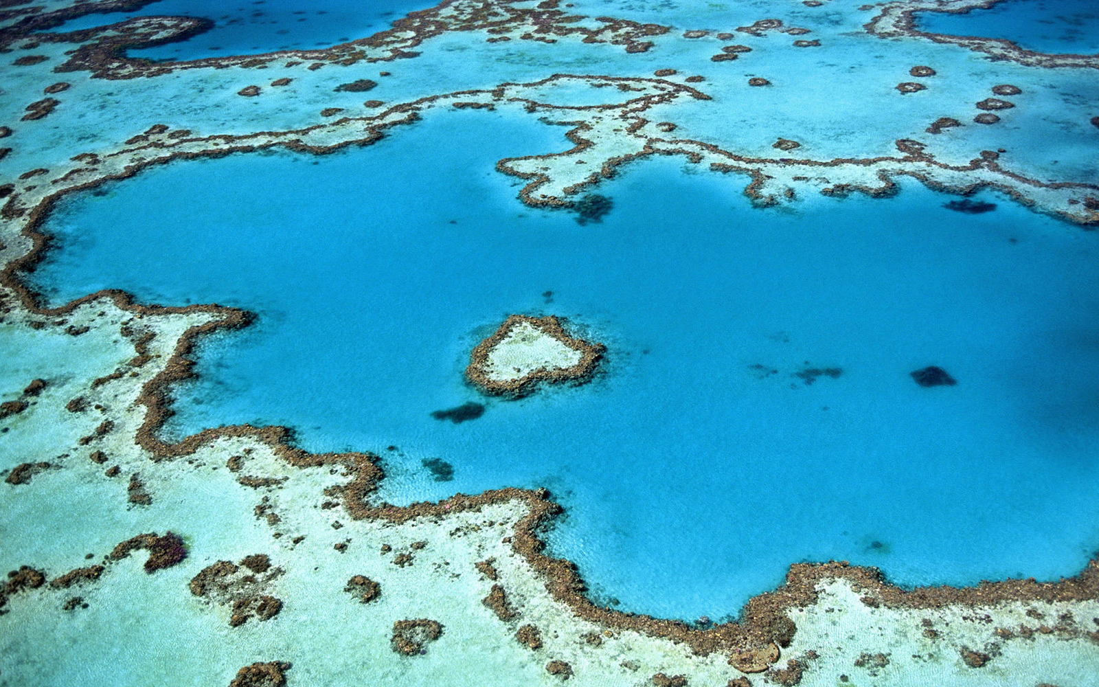 Aerial view of coral reefs