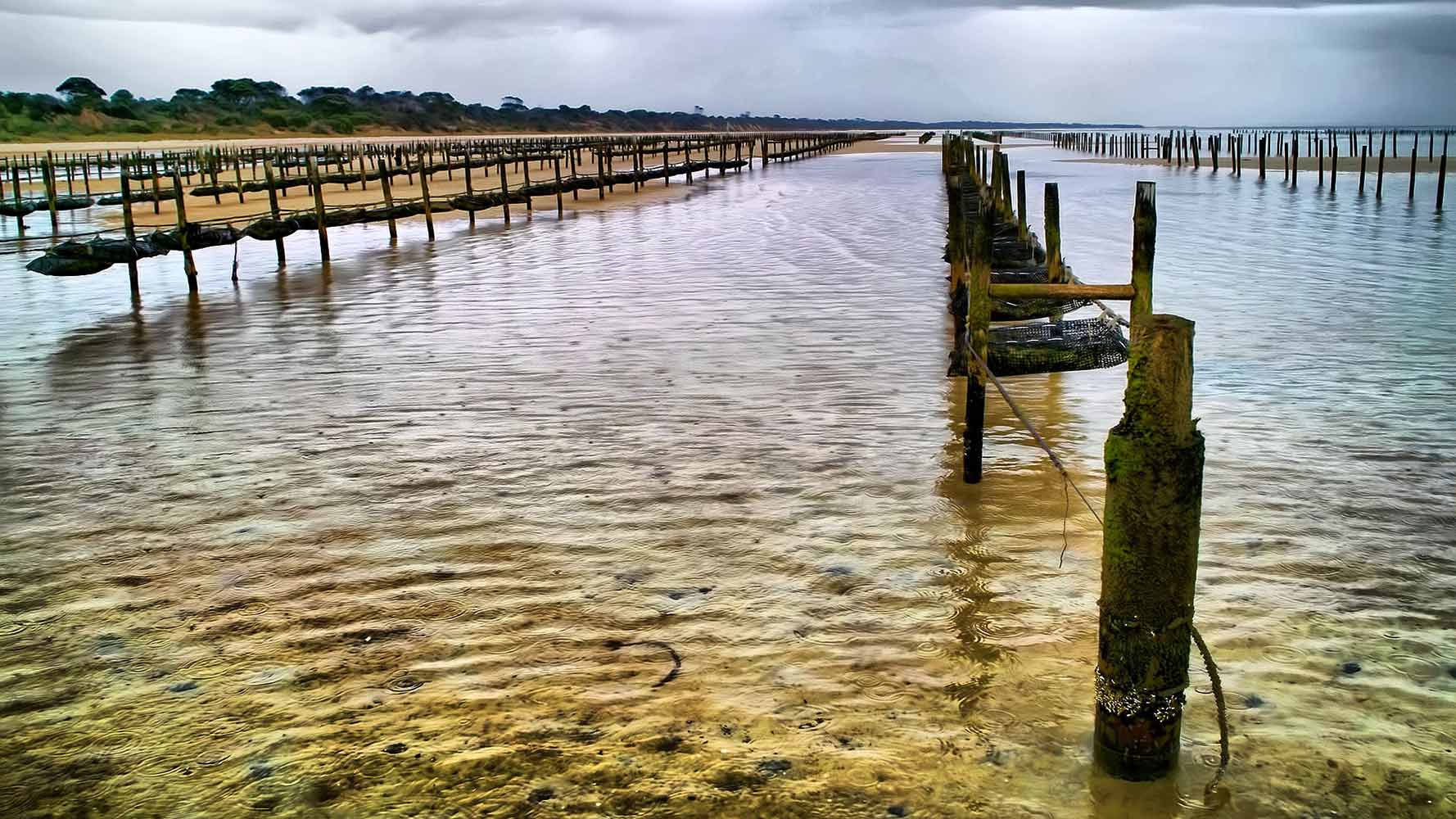 Photo of oyster farm