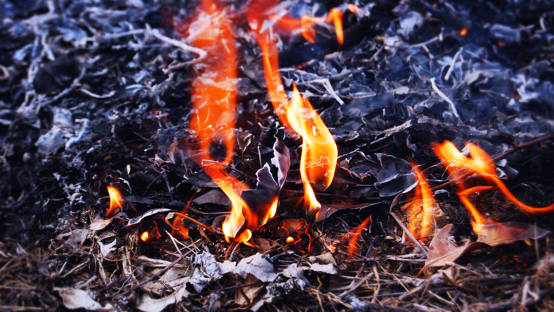 Leaf litter burning on a firefront