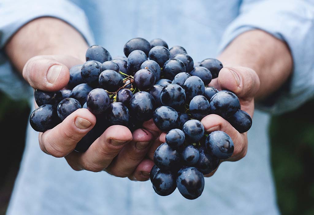 A person holds a bunch of grapes in their hand