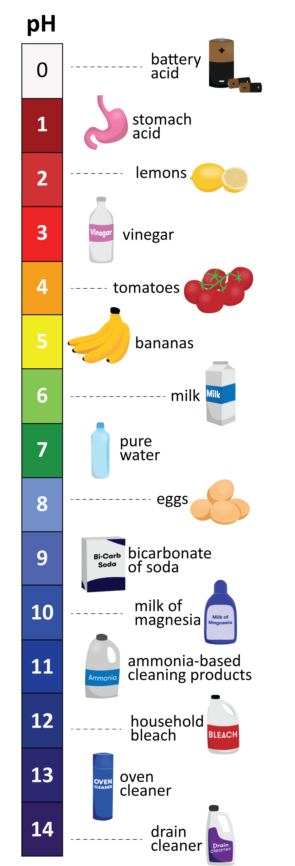 Illustrations of everyday items indicating where they sit on the pH scale