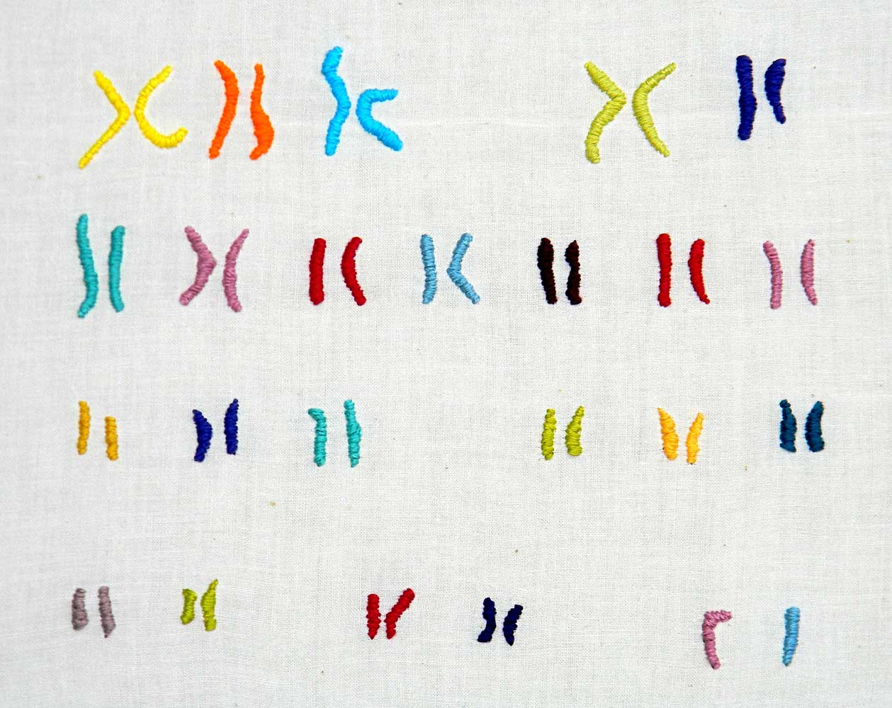 Image of embroidered chromosome diagram