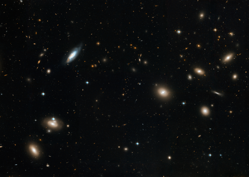 Image of the Coma Cluster of galaxies