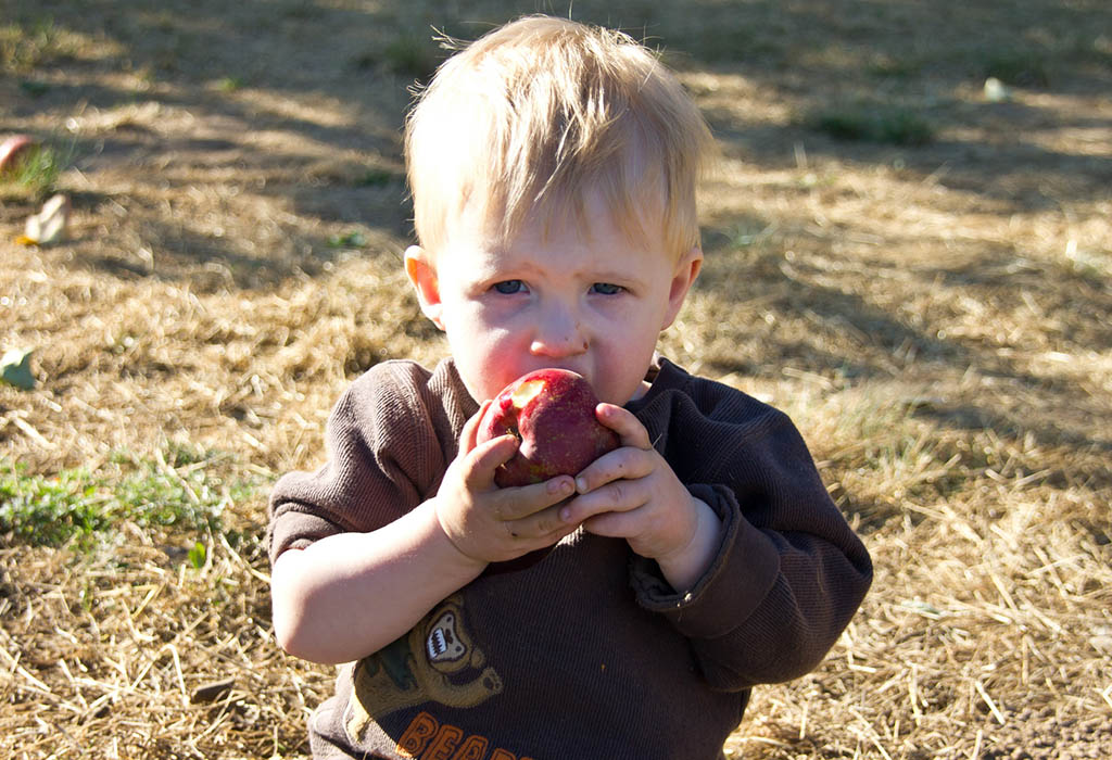 A young child eats an apple