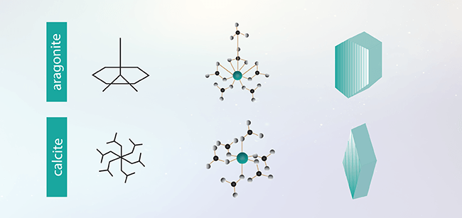 Calcite/aragonite structure