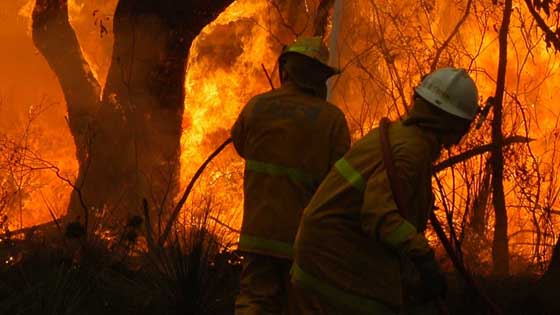 How climate change increases bushfire risk 