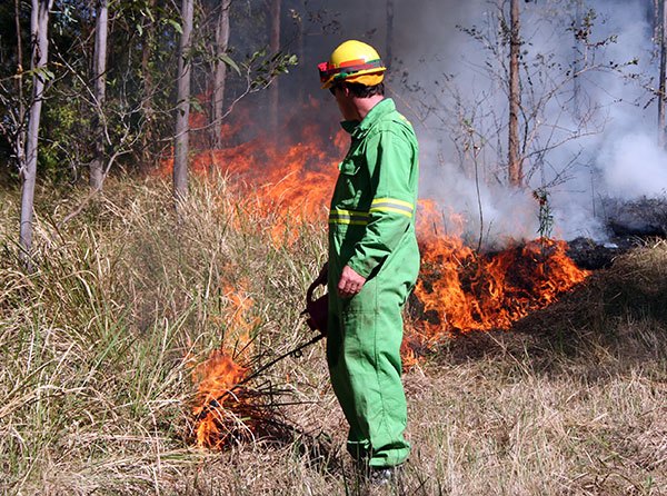 A firefighter taking part in a prescribed burn in Casino, NSW.