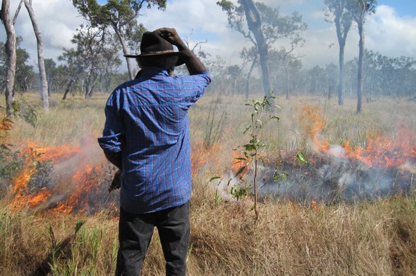 Old Man Dundee at the Chuula burn, Cape York in 2010.