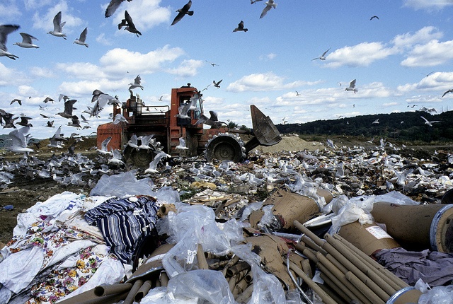 Rubbish at a landfill