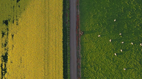 Australian agriculture and climate change: a two-way street