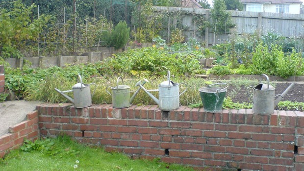 Watering cans