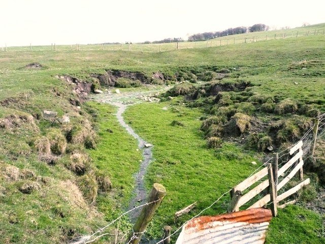 A groundwater spring