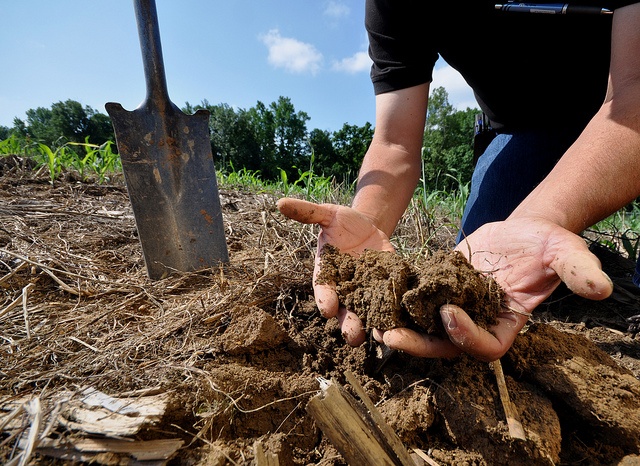 Healthy soil