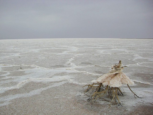 Lake Eyre