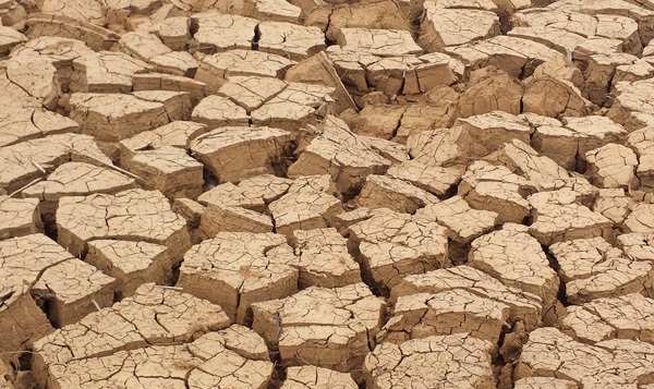 Dry, cracked soil