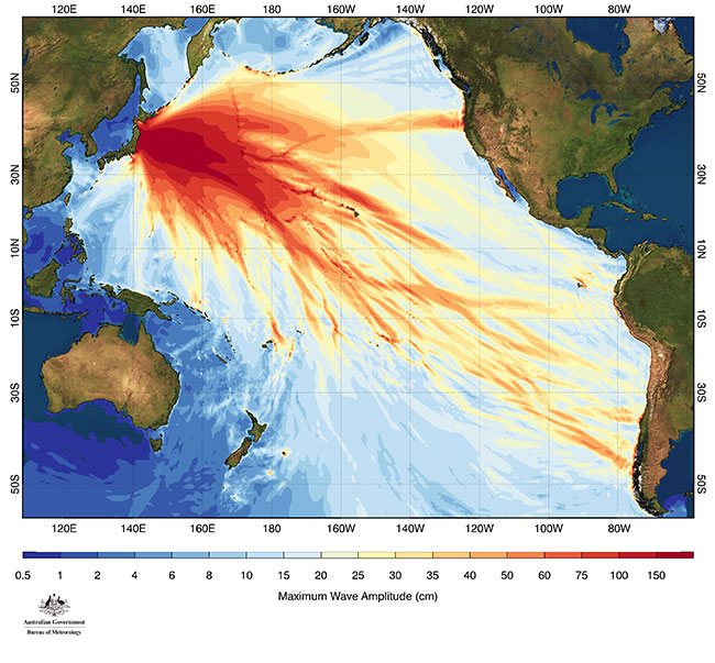 Diagram showing wave amplitude of 2011 tsunami