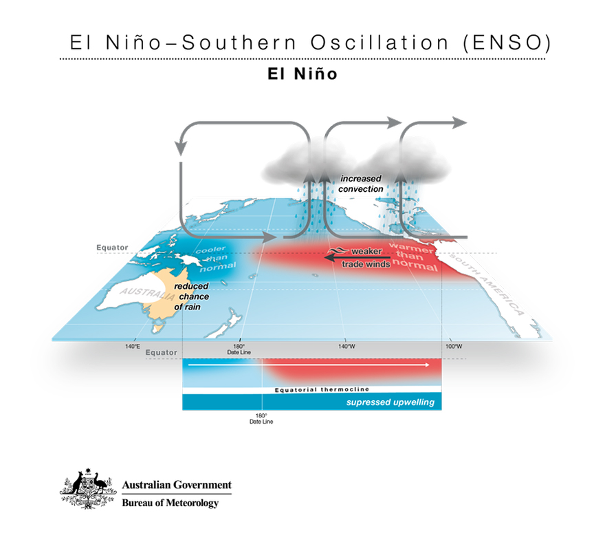 What's happening to Australia's rainfall? Curious