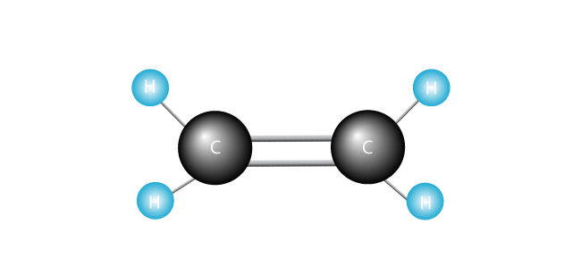 Ethylene molecule