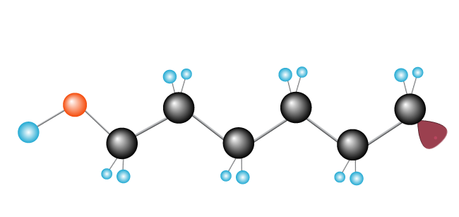 Building the polymer chain