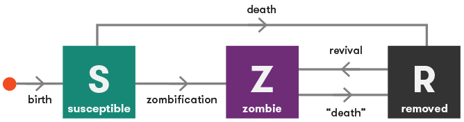 Flowchart: under the basic model of zombie infection, we have three states: susceptible (S), zombie (Z) and removed (R). S can become Z (by zombification) or R (by dying); Z can become R (by death); and R can become Z (by revival).