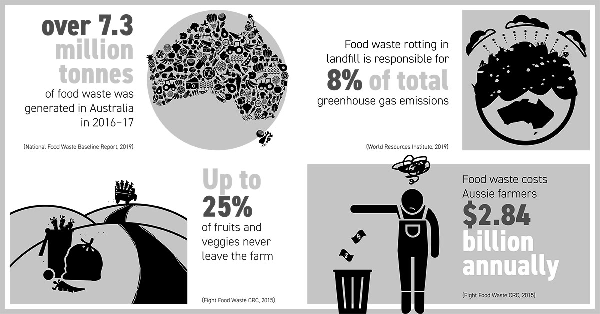 Food waste: preventing a multi-billion dollar problem - Curious